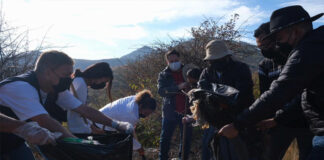 Coordina Gobierno de Oaxaca tequio de limpieza en la carretera a Monte Albán