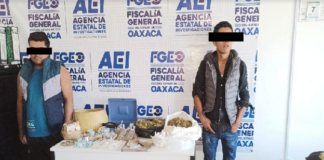 Tras cateo, Fiscalía asegura drogas en Santos Reyes Nopala