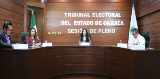 Decreta TEEO pérdida de modo honesto de vivir a edil de San Jerónimo Sosola