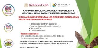 Trabaja Gobierno del Estado en acciones preventivas contra la rabia