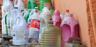 Llama SSO a sumar esfuerzos en los hogares para evitar enfermar de dengue