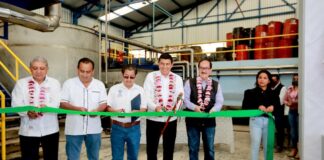 Suman esfuerzos Gobierno de Oaxaca y Conafor para conservar y proteger los recursos forestales