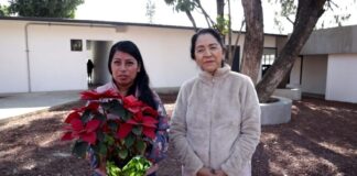 Invita DIF Oaxaca a canjear un producto de la canasta básica por una flor de Nochebuena en el Zócalo