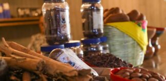 Zaachila y Xoxocotlán, presentes en el programa “Nanixhe Oaxaca” de la UTVCO