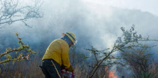 Pobladores y Coesfo conservan zona arqueológica de Yagul