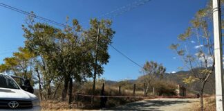 Asesinan a mujer en Huayápam