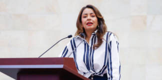 Presenta Mariana Benítez iniciativa para crear orden de protección a menores