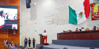 Solicita Mariana Benítez investigar proceso de impugnación en el caso de María E. R. O.