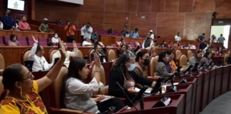 Congreso de Oaxaca Garantiza participación política de mujeres indígenas y afromexicanas