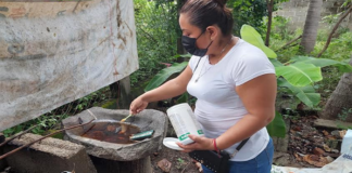 Exhortan SSO a extremar saneamiento básico en los hogares para evitar el dengue
