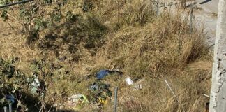 Bajo protocolo de feminicidio, investiga Fiscalía de Oaxaca hallazgo de mujer sin vida en Candiani