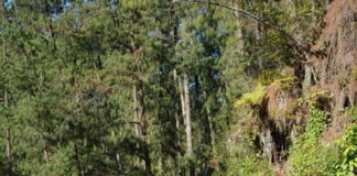 Oswaldo Lara triunfador del Rally Coast 2 Coast en Puerto Escondido