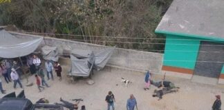 En Día del Amor y la Amistad, México registró 76 asesinatos en 19 entidades