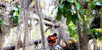 Comisariado de Tlacochahuya denuncia matanza de especies en riesgo de extinción