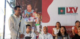 Garantizar una vida libre de violencia a mujeres, prioridad de la 4T: Luis Alfonso Silva