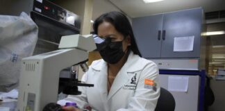 El 70% de los casos de enfermedades raras son de origen genético: SSO
