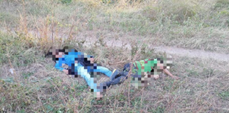 Localizan a menores asesinados en el Istmo