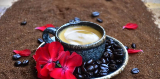 Capacitará SiKanda a productores en Oaxaca para dar valor agregado al café
