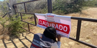 Clausuran mina clandestina en Oaxaca que operaba a favor de Cementera Cruz Azul