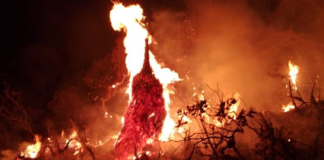 Controla Coesfo incendio en San Jerónimo Sosola