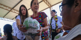 Entrega DIF Oaxaca dotaciones alimentarias a familias de Chiltepec
