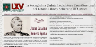 Sigue abierta convocatoria para participar por la medalla “Juana Catalina Romero Egaña”