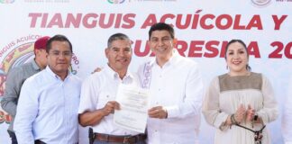 Sector pesquero, prioritario para la seguridad alimentaria: Jara Cruz