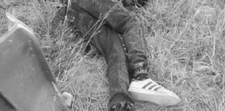 Suma Oaxaca 5 ejecutados durante las últimas horas