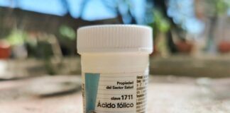 Consumo de ácido fólico, ayuda a prevenir defectos congénitos: SSO