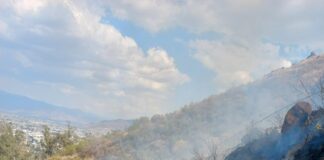 Sofoca Coesfo dos incendios registrados en inmediaciones de Monte Albán