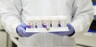 Avanza Oaxaca en detección oportuna de casos de VPH en mujeres y hombres trans