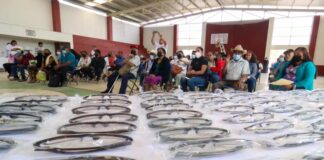 Personas adultas y adultas mayores de Valles Centrales mejoran su salud visual con lentes de vista cansada