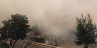 Bomberos y Policía Estatal sofocan incendio en inmediaciones de la Central de Abasto