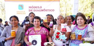 Confianza en Oaxaca genera inversión superior a 17 mmdp: Sedeco
