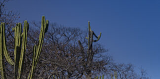 Épica edición del rally cross-country Coast 2 Coast 2023