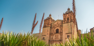 Oaxaca mostrará su riqueza en el Tianguis Turístico México 2023 en la CDMX