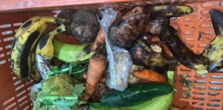 Alerta IMSS por aumento de enfermedades gastrointestinales por calor