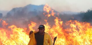 Oleada de incendios forestales amenaza al país por la sequía