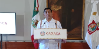 No habrá “cacería de brujas” en Cartel del Despojo, dice Salón Jara