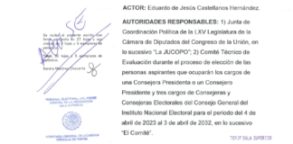 DETRÁS DE LA NOTICIA: Demanda Eduardo Castellanos, nulidad de elección de 4 consejeros electorales