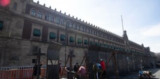 Hoy, movilizaciones en el país por el Día Internacional de la Mujer