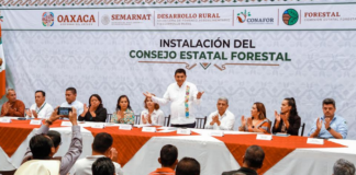 Defensa y respeto a los recursos forestales de los pueblos originarios: Salomón Jara