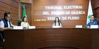 Confirma TEEO convocatoria para renovación del Comité Ejecutivo Estatal del PUP
