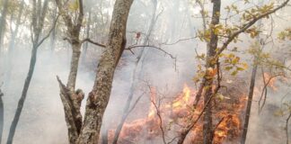 Continúa Coesfo combate a incendio en límites de Mixtepec y San Juan Ñumi