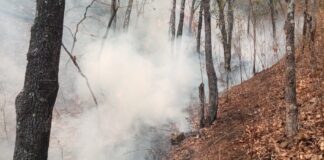 Trabajan 378 personas para sofocar incendio en límites de Mixtepec y Ñumí