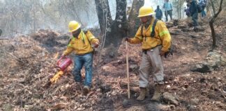 Combatientes logran controlar un frente del incendio forestal en San Juan Mixtepec