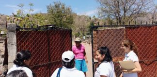 Trabaja Sistema DIF Oaxaca en la integración del censo del proyecto “El bienestar es para todas y todos