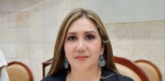 Deudores alimentarios no podrán ser candidatos en Oaxaca: Miriam de los Ángeles