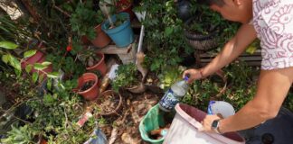 Pide SSO a mujeres embarazadas extremar medidas para evitar enfermar de zika