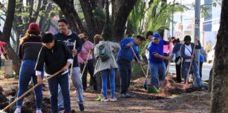 Con Tequio Bienestar embellecen el camellón de la carretera Internacional 190